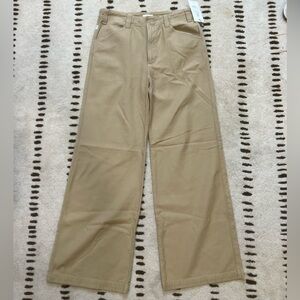 Citizens of Humanity Pants